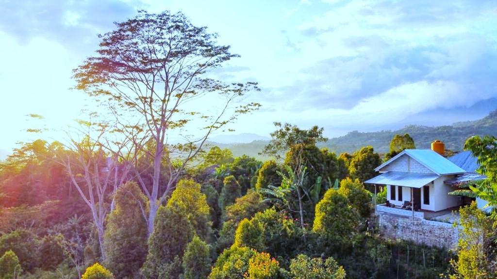 Sun Rice Homestay Ruteng Extérieur photo